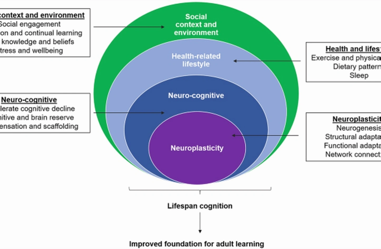 Neuroplasticity leadership training session